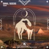 Soul Seeds - EP