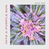 Into a Purple Sun - Single