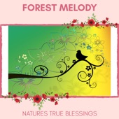 Forest Melody - Natures True Blessings artwork