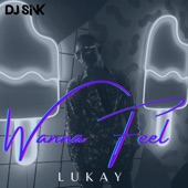 Wanna Feel (feat. Lukay & Eif Keyz) artwork