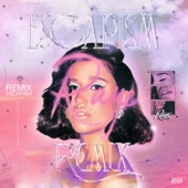 Escapism. (Remix) artwork