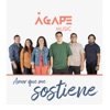 Amor que me Sostiene - Single