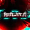 Stream & download Mulata (feat. Tunechikidd) - Single