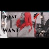What I Want - Single