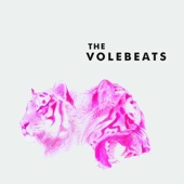 The Volebeats - 1000 Miles of Confusion