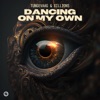 Dancing On My Own - Single