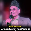 Arman Zwanay Pasi Pakar De - Single