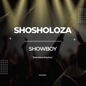 Shosholoza (Radio Edit) artwork