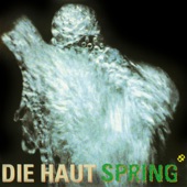 Die Haut - The Assisi Machine (feat. Blixa Bargeld)