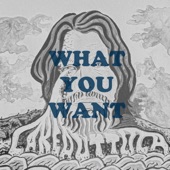 What You Want artwork