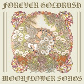 Forever Goldrush - Fare Thee Well