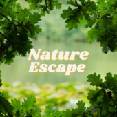 Nature Escape artwork