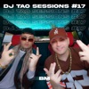 BM  DJ TAO Turreo Sessions #17 - Single