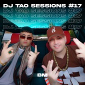 BM  DJ TAO Turreo Sessions #17 artwork