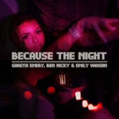 Because The Night (feat. Emily Vaughn) artwork