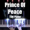 Prince of Peace song lyrics