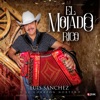El Mojado Rico - Single