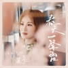 蔡義德 - 停同站
