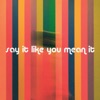 Say It Like You Mean It - Single