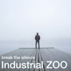 Break the Silence - Single