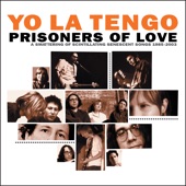 Yo La Tengo - Swing for Life