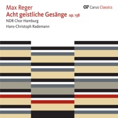 8 geistliche Gesänge, Op. 138: No. 1 Der Mensch lebt und besteht nur eine kleine Zeit artwork