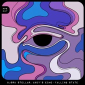 Falling State (Brascon Remix) artwork