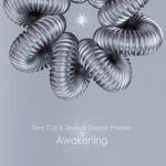 Zero Cult & Unusual Cosmic Process - Awakening