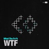 WTF (What The Fu*k) - Single