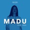 Castle (feat. Madg Beats) - Madu lyrics