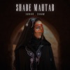 Shabe Mahtab (feat. Ehaam) - Single
