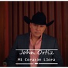 Mi Corazón Llora - Single