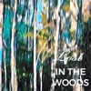 Lost In the Woods - EP