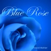 Blue Rose - Single