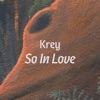 So In Love - Single