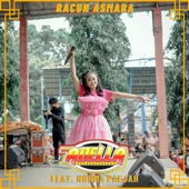 Racun Asmara (feat. Nurma Paejah) artwork