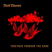 Slaid Cleaves - Double Shift Tuesday