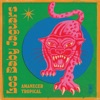 Amanecer Tropical - Single