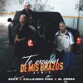 Te Escapas de Mis Brazos (Remix) artwork