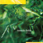Tremolo Fields - Stumble On Out
