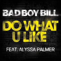 Do What U Like (Bad Boy Bill's Push That Feeling Remix) Song Lyrics