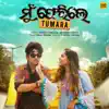 Mu Ferile Tumara - Single album lyrics, reviews, download