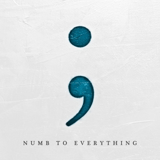 Cover artwork for Numb to Everything