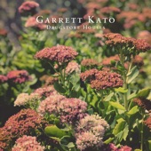 Garrett Kato - Drugstore Houses