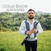 Colaj Bihor - Single