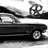 Fastback - Single