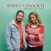 Sním o Vánocích (feat. Olga Lounová) artwork