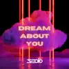 Stream & download Dream About You (Extended Mix) - Single