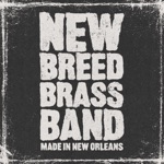 Drop It How You Feel It (feat. Trombone Shorty, 5th Ward Weebie & Wild Wayne) - Single