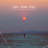 Cry for You (Radio Edit) artwork
